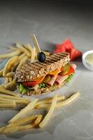 Smoked Chicken Sandwich with fries and mayonnaise dip isolated on dark background side view of breakfast food photo