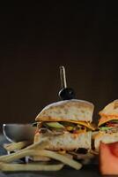 Spicy Southwest Chicken Sandwich with fries and mayonnaise dip served in tray isolated on dark background side view of breakfast food photo