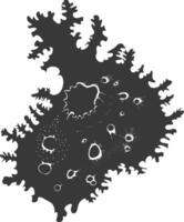 Silhouette amoeba animal black color only vector