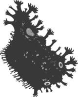 Silhouette amoeba animal black color only vector