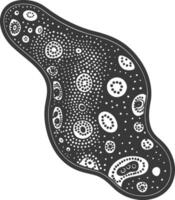 Silhouette amoeba animal black color only vector