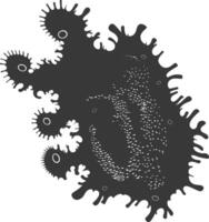 Silhouette amoeba animal black color only vector