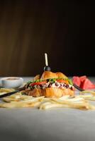 Harvest Chicken Sandwich with french fries and mayonnaise dip isolated on napkin side view of breakfast food photo