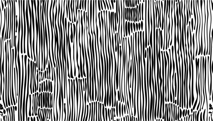 Fabric pattern with textile line texture image background. Decpratopn striped shape element and curve ornament. Artistic black and white elegant background