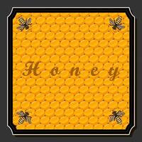 Illustration on theme for label of sugary flowing down honey in honeycomb with bee vector