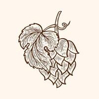 drawing of hops in line art style vector