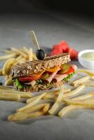 Smoked Chicken Sandwich with fries and mayonnaise dip isolated on dark background side view of breakfast food photo