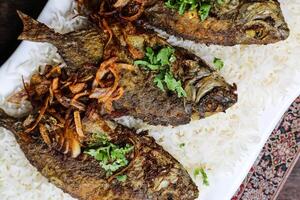 safi shilani o frito pescado con arroz servido en plato aislado en estera parte superior ver en mesa Arábica comida foto