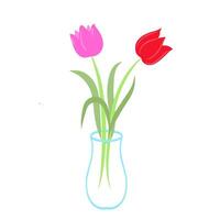 Pink Red Tulips in a clear vase cartoon graphic illustration vector