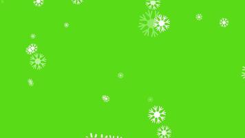 Snowflake falling animation green Screen. Christmas Snowflakes Animation video