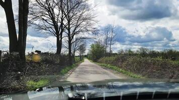 vue de le pare-brise de une en mouvement voiture sur une petit et étroit pays route avec des arbres et des buissons sur le côté. video