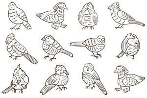 Set of cute birds on white background. National Bird Day. Flat. hand drawing style. vector