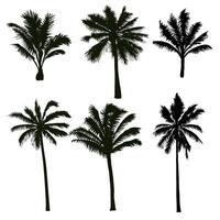 Coconut Tree Silhouette Collection vector