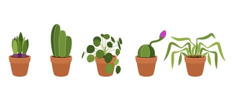 Set of small indoor plants in pots. on white background. vector