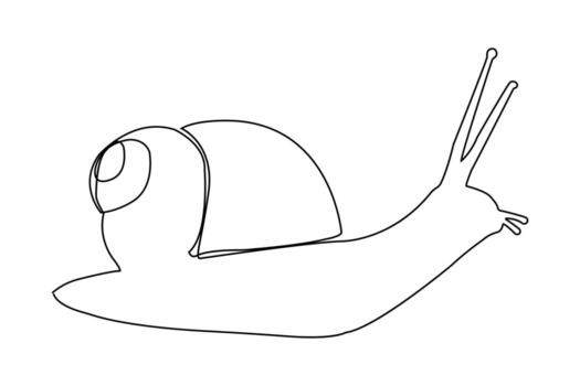 Continuous line drawing of a snail. illustration of a snail. vector