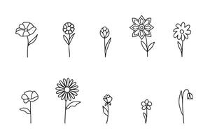 Set of simple flower and plant elements in doodle style. Stylized flowers, plant branches, leaves. Hand drawn simple icons. Symbol of gardening, the arrival of spring, summer. vector