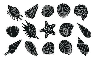 Set of various sea shells and starfish . black and white silhouettes. vector