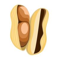 Peanut nut open in flat technique vector