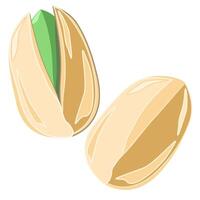 Pistachios nuts whole and open nut in flat technique vector