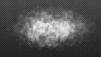 Fog or smoke cloud isolated on dark background. Realistic smog, haze, mist or cloudiness effect. vector