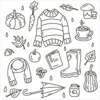 set of line autumn illustrations. vector