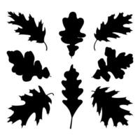 Red Oak and White Oak Tree Leaf Silhouettes vector