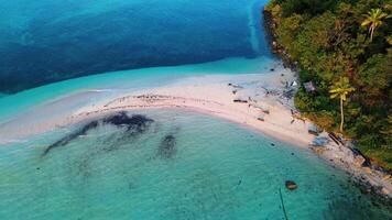 aereo Visualizza di un' bellissimo tropicale spiaggia con turchese acqua e bianca sabbia video
