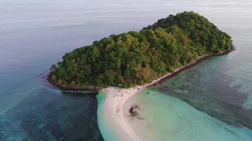 aereo Visualizza di un' bellissimo tropicale isola con bianca sabbia spiaggia e turchese mare video