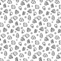 Seashell pattern in doodle style, black outline sketch of isolated elements on white background for design template. Ocean flora vector