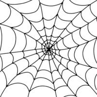 Scary web on a white background. Black web. Hand drawn banner with spider web for Halloween. illustration of horror. vector