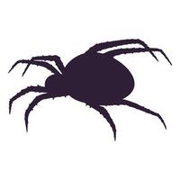 spider black silhouette vector