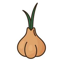 onion cartoon isolated vector