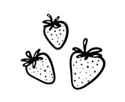 Doodle strawberry illustration. Black hand drawn abstract fruit. Summer sketch berry drawing. vector