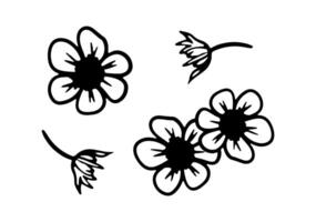 Hand drawn strawberry flowers before the appearance of berries. Doodle Abstract drawing vector