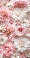 un grande grupo de rosado y blanco flores foto