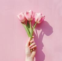 Hand Holding Pink Tulips on Pink Background photo