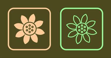 Sunflower Icon Design vector