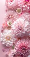 Pink Flowers on Pink Background photo