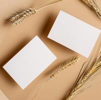 Two Blank Cards Next to Wheat photo