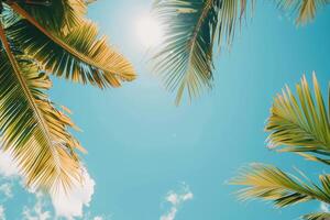 Palm Trees Swaying Against Blue Sky With Clouds photo