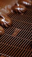 Marshmallows being deepened into a thick layer of chocolate. Production of zephyr sweets at confectionary factory. Close up. Vertical video