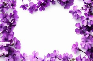 Bunch of Purple Flowers on White Background photo