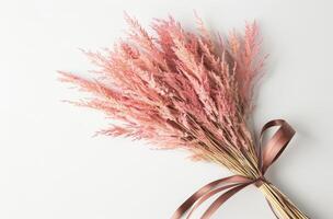 Pink Flowers on White Background photo