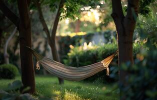 Hammock Hanging Between Two Trees in a Yard photo