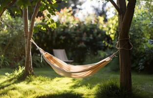 Hammock Hanging Between Two Trees in a Yard photo