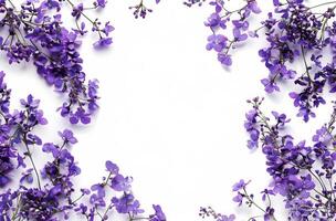 Bunch of Purple Flowers on White Background photo