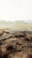 Ebene mit getrocknetem Gras und Berggipfeln im Hintergrund video