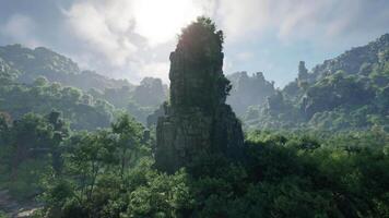 un' maestoso Torre crescente sopra il lussureggiante verdura di un' foresta video