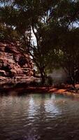 riflessione nel Colorado fiume di butte attraente giorni ultimo raggi, nel mille dollari canyon. video