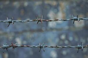 AI generated Barbed Wire Strands Against a Blurred Background photo